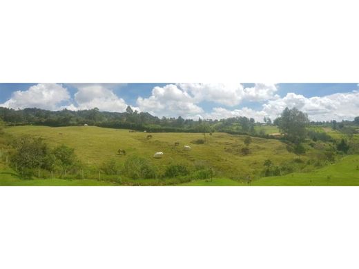 Land in Rionegro, Departamento de Antioquia