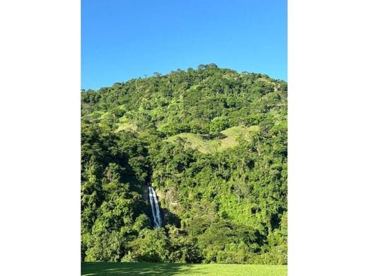 Terreno en Fredonia, Departamento de Antioquia