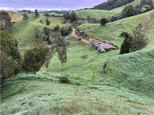 전원/농가 / Santa Rosa de Osos, Departamento de Antioquia