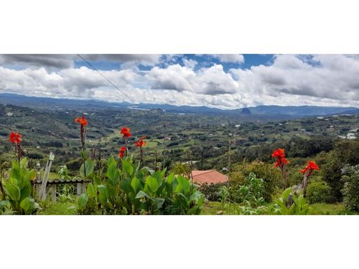 Land in El Peñol, Yarumal