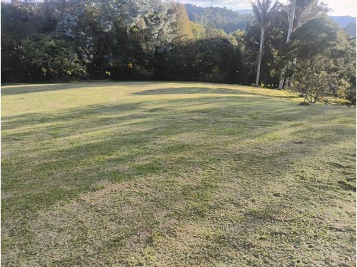 Arsa Medellín, Departamento de Antioquia