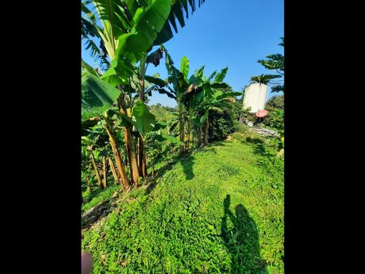 ﻣﻨﺰﻝ ﺭﻳﻔﻲ/ ﺑﻴﺖ ﻤﺰﺭﻋﺔ ﻓﻲ Pereira, Departamento de Risaralda