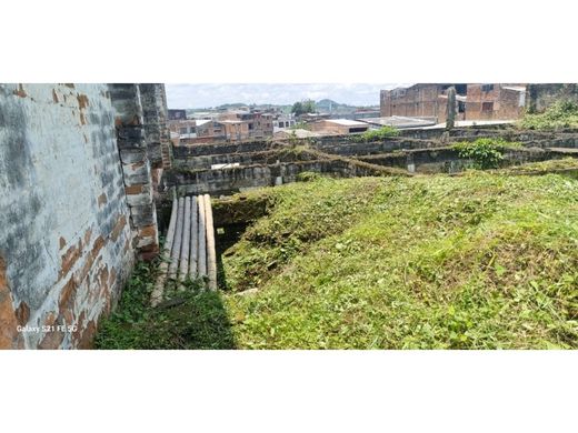 Участок, Перейра, Pereira