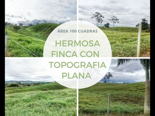 Farmhouse in Circasia, Quindío Department