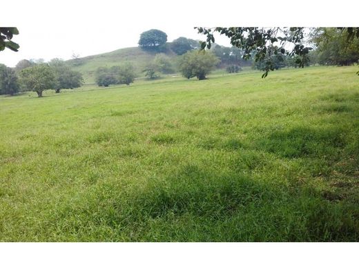 Ρουστίκ ή αγροικία σε Puerto Boyacá, Departamento de Boyacá