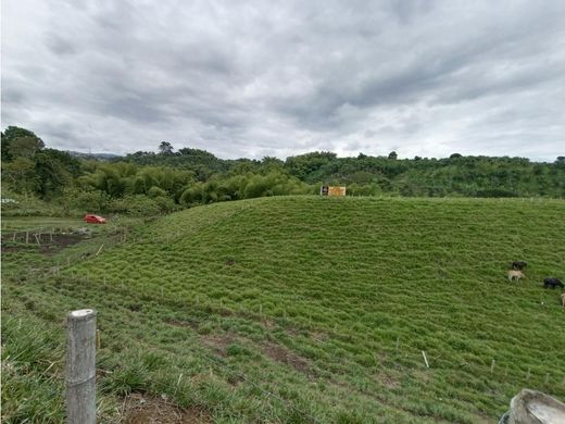 Terreno en Quimbaya, Quindío Department