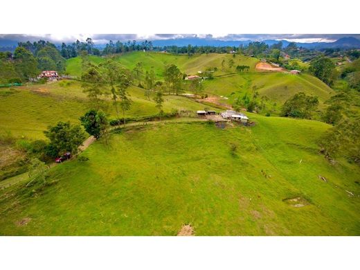 Terreno a Rionegro, Departamento de Antioquia