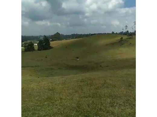 Grond in Carmen de Viboral, El Carmen de Viboral