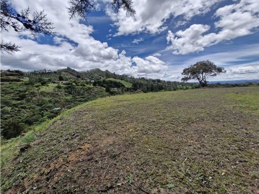 Land in Rionegro, Departamento de Antioquia