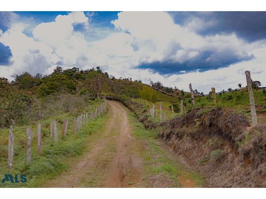 أرض ﻓﻲ San Vicente, San Vicente Ferrer