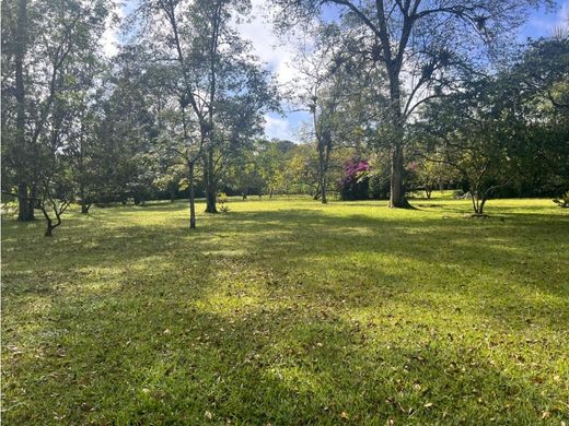 أرض ﻓﻲ Rionegro, Departamento de Antioquia