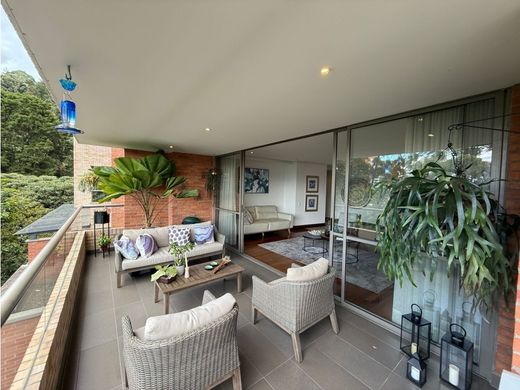 Daire Medellín, Departamento de Antioquia