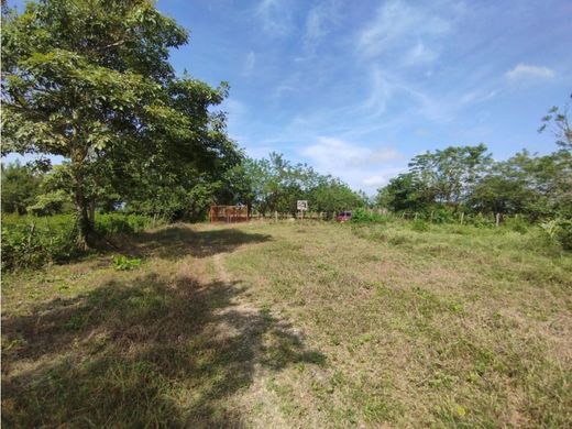 Cartagena, Cartagena de Indiasの土地