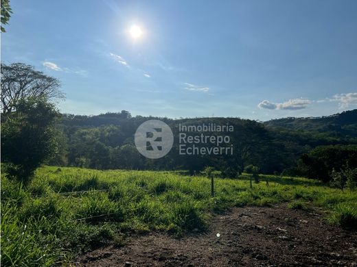 토지 / Neira, Departamento de Caldas