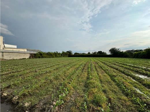 ‏קרקע ב  Palmira, Departamento del Valle del Cauca