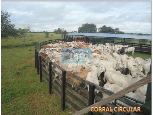 Rustico o casale a Cumaribo, Departamento del Vichada