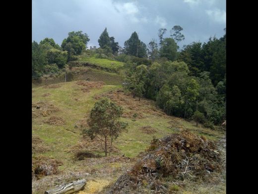 Land in Envigado, Departamento de Antioquia
