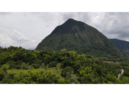 أرض ﻓﻲ Venecia, Departamento de Antioquia