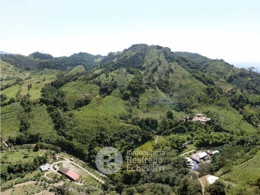 Farmhouse in Neira, Departamento de Caldas