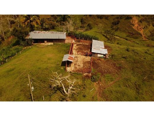 Rustik ya da çiftlik Maceo, Departamento de Antioquia