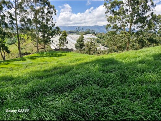 Αγροτεμάχιο σε Carmen de Viboral, El Carmen de Viboral