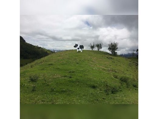 Teren w Vijes, Departamento del Valle del Cauca