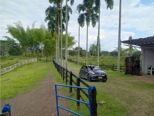 Boerderij in Pereira, Departamento de Risaralda
