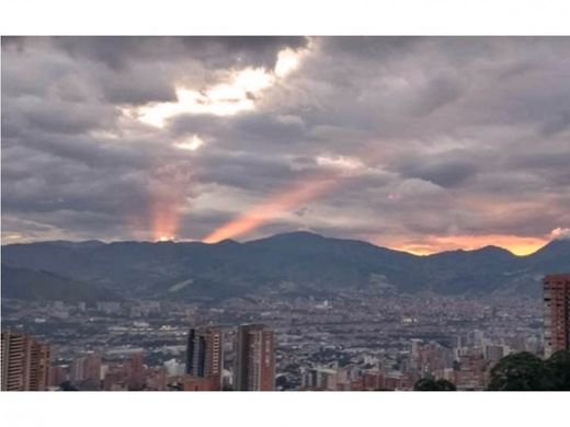 Daire Medellín, Departamento de Antioquia