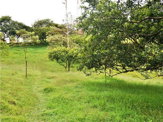 Terrain à Rionegro, Departamento de Antioquia