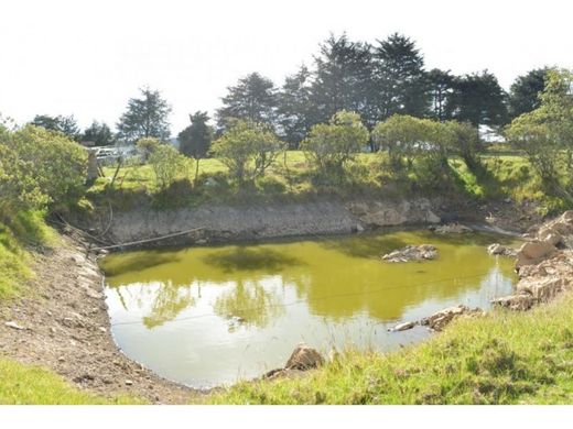 Land in Medellín, Departamento de Antioquia