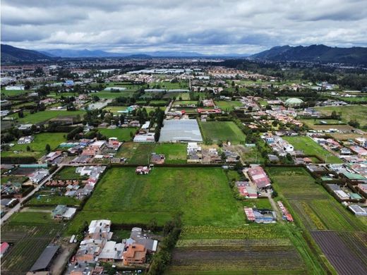 Cajicá, Departamento de Cundinamarcaの土地