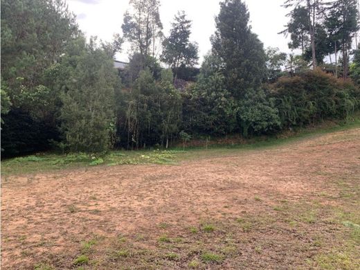 Teren w Retiro, Departamento de Antioquia