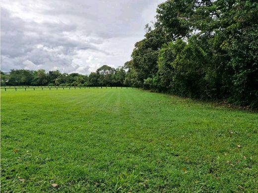 Αγροτεμάχιο σε Rionegro, Departamento de Antioquia