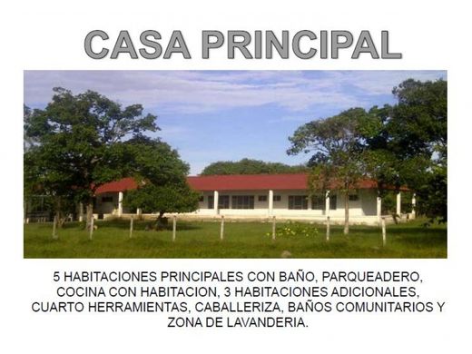 Rustik ya da çiftlik Orocué, Departamento de Casanare