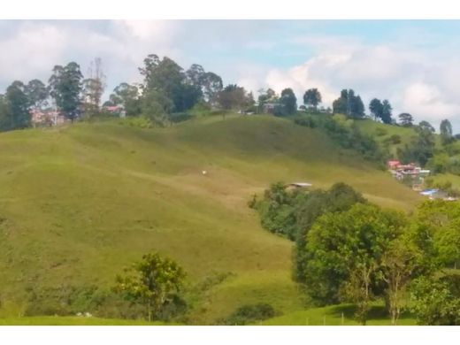 地皮  Filandia, Quindío Department