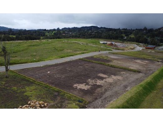 ‏קרקע ב  מדיין
, Medellín