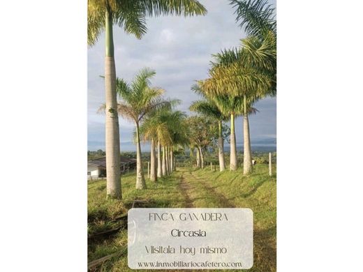 Ferme à Circasia, Quindío Department