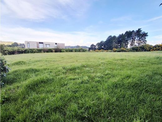 Envigado, Departamento de Antioquiaの土地