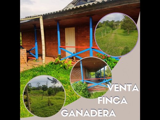 Farmhouse in Filandia, Quindío Department