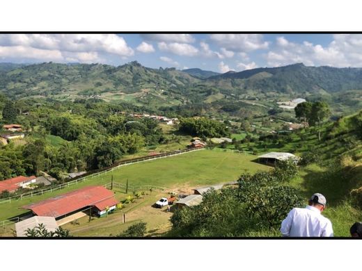 Quinta rústica - Pereira, Departamento de Risaralda