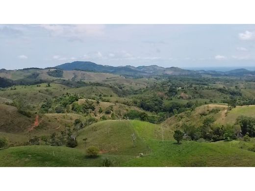 ‏בתים כפריים או חוות ב  Puerto Berrío, Departamento de Antioquia