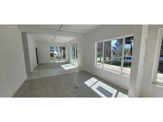 호화 저택 / Pereira, Departamento de Risaralda