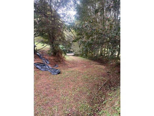 ‏קרקע ב  מדיין
, Medellín