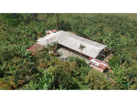 Farmhouse in Montenegro, Quindío Department