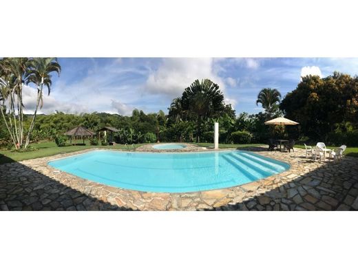 Гостиница, Palestina, Departamento de Caldas