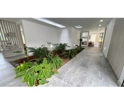Daire Manizales, Departamento de Caldas