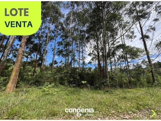 Grundstück in Rionegro, Departamento de Antioquia