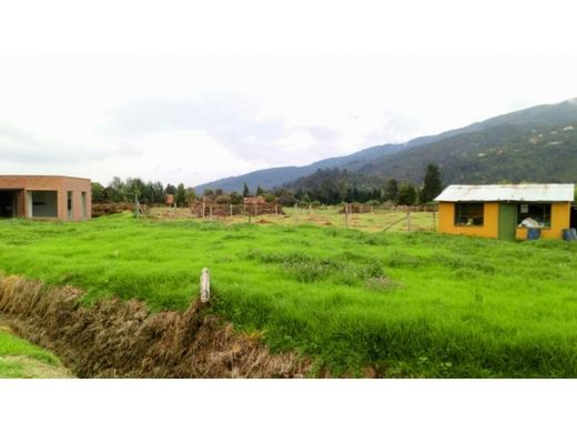 地皮  波哥大, Bogotá  D.C.