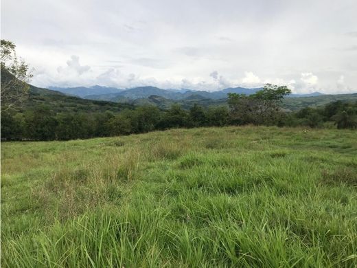 أرض ﻓﻲ Valparaíso, Departamento de Antioquia