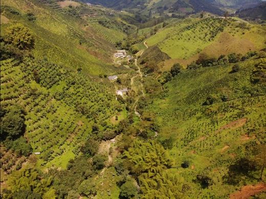 Quinta rústica - Santa Rosa de Cabal, Departamento de Risaralda